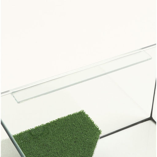 Террариум с покровным стеклом и мостиком 25 литров, 40 х 29 х 22 см - Пижон фото 5