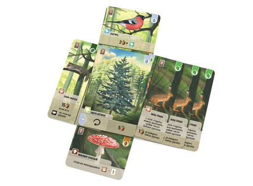 Смешанный лес