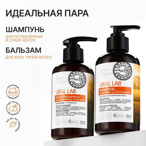 Шампунь для сухих и ослабленных волос с маслом кедра и экстрактом календулы, здоровые и блестящие, 300 мл, ECO LAB by URAL LAB
