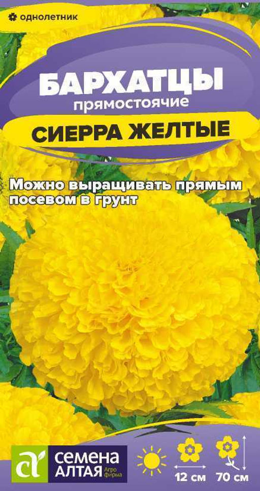 Цветы Бархатцы Сиерра Желтые/Сем Алт/цп 0,2 гр.