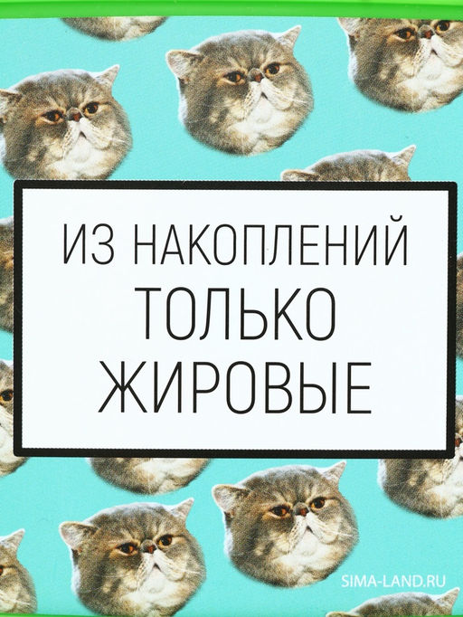 Ланч - бокс прямоугольный «Накопления», 500 мл