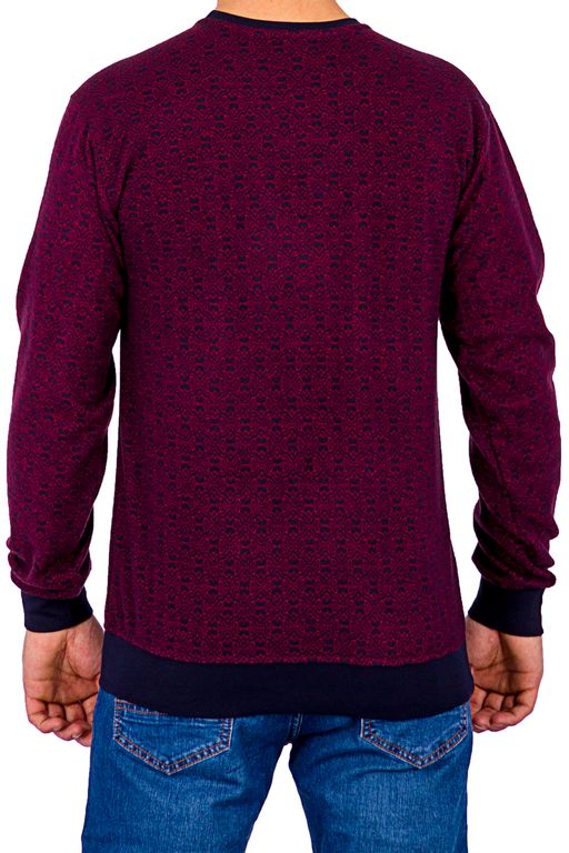 толстовка 
 2.01-30-25-01 - Tliton фото 2