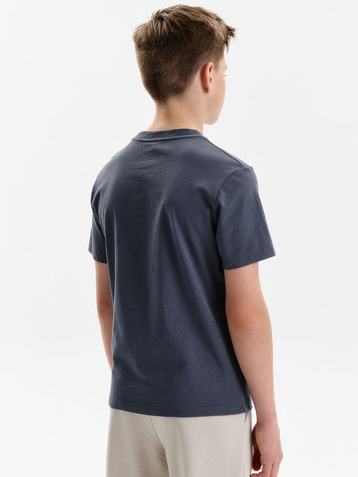 PELICAN, футболка для мальчиков, Серый  фото 2