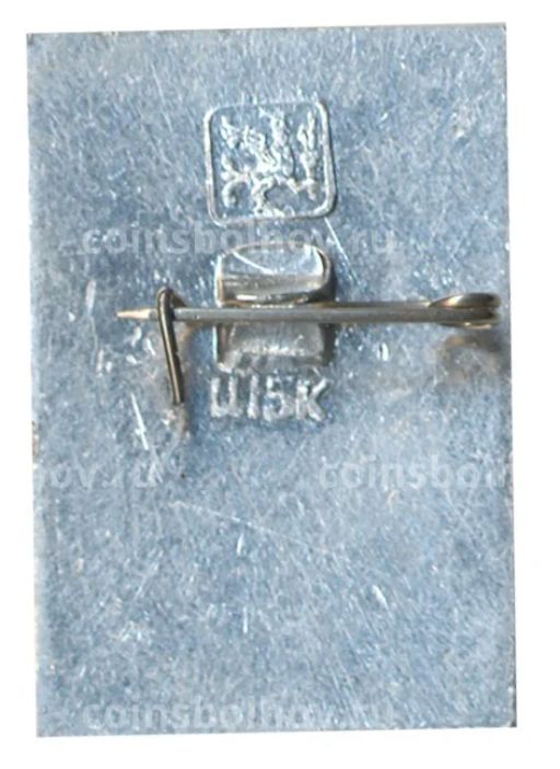 Значок Общество охраны памятников истории и культуры РСФСР