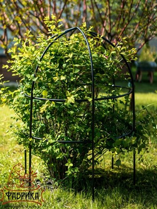 Опора для растений 58-908B - Фабрика интерьерной ковки фото 5