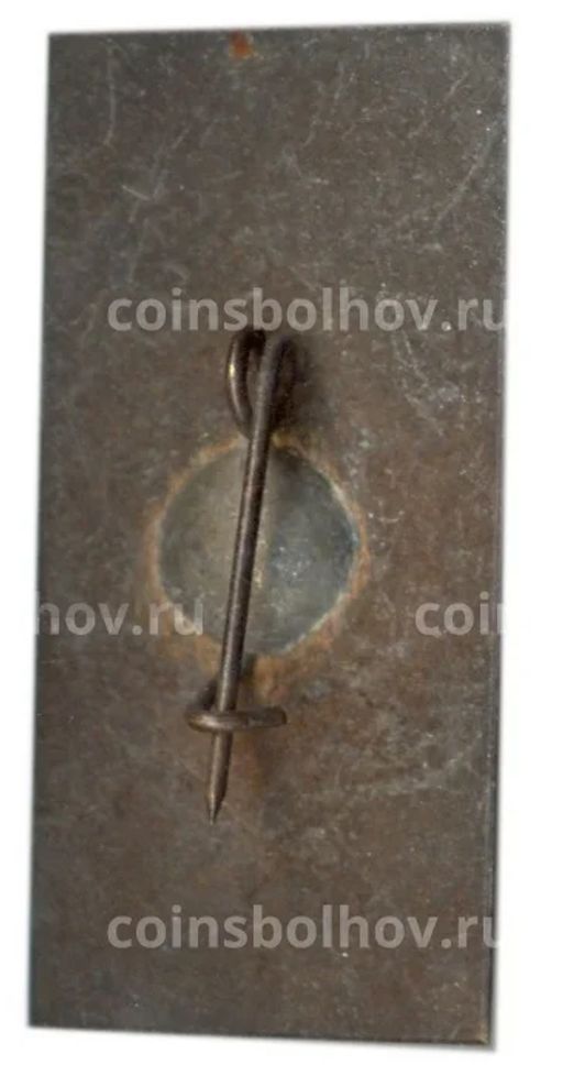 Значок Жираф