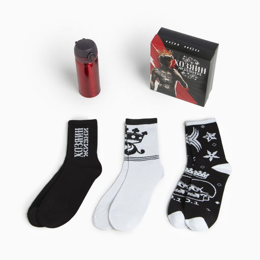 Подарочный набор KAFTAN «Хозяин жизни», термос, носки 3 пары размер 41-44 (27-29 см)