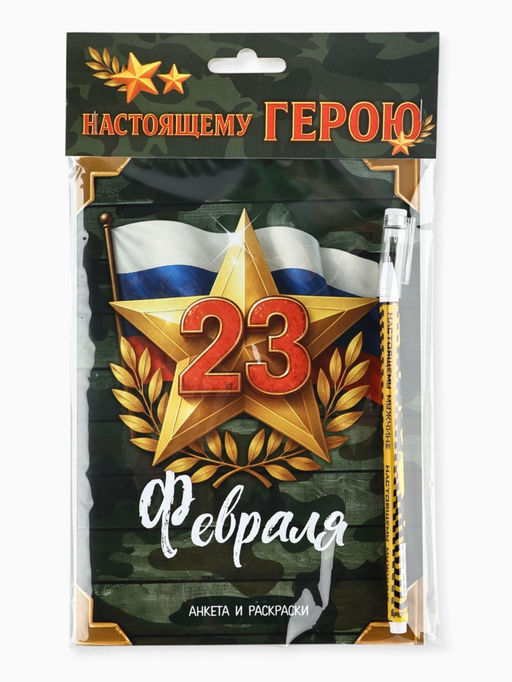 Подарочный набор. анкета для мальчиков А5, 16 л., ручка «23 Февраля»