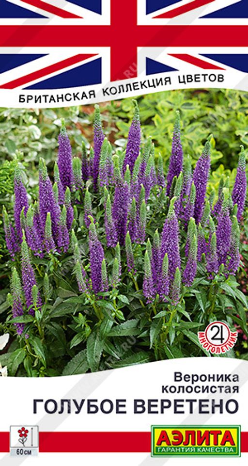 Вероника Голубое веретено (2026)