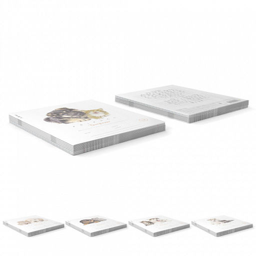 Цена за 280 шт. Тетрадь школьная ученическая ErichKrause Дружба, 12 листов, линейка (в плёнке по 10 шт.)  фото 20