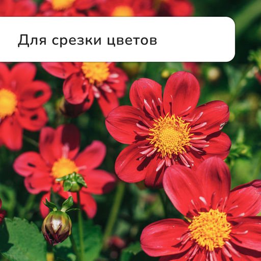 Секатор плоскостной, 9" (23 см), с пластиковыми ручками, МИКС