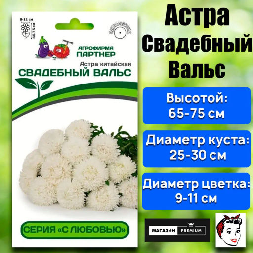 Астра китайская Свадебный Вальс - Партнер фото 2