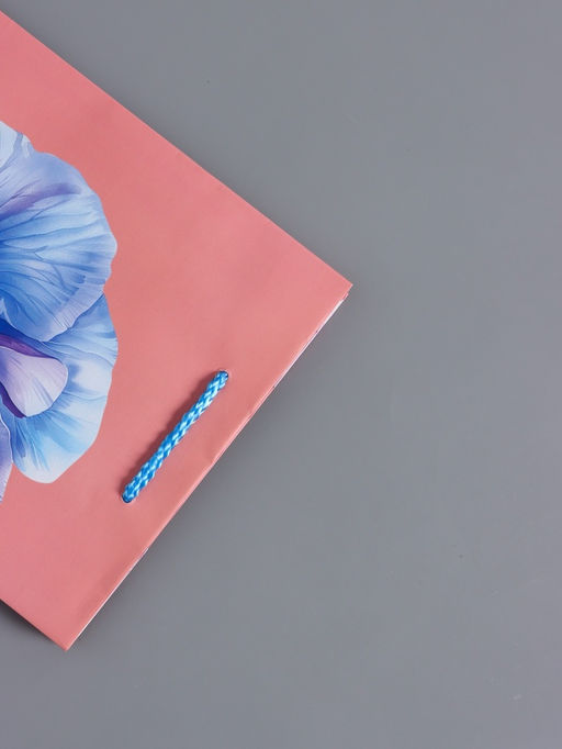 Пакет подарочный ламинированный, «Взгляд фиалки», нежно розовый, 18×22.3×10 см