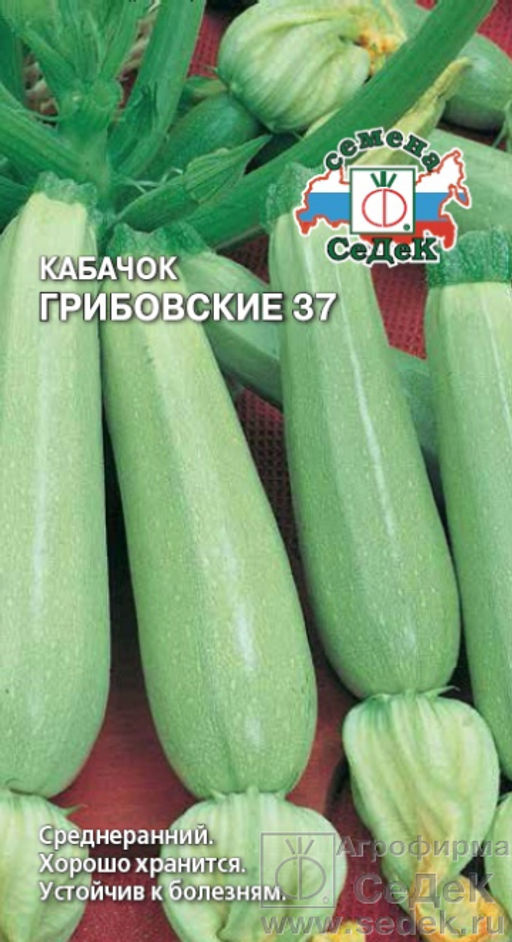Кабачок Грибовский 37 (белоплодный) 2г (СеДеК)