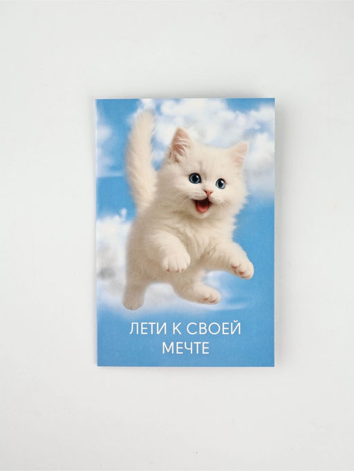 Цена за 10 шт. Открытка «Мечта», 12 х 18 см