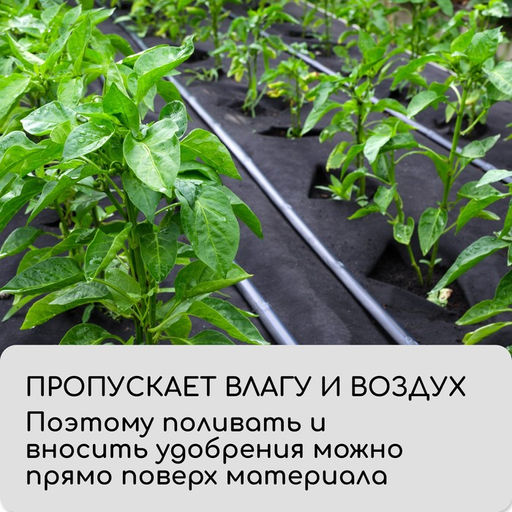 Материал мульчирующий, 10×1.6 м, плотность 80 г/м², спанбонд с УФ-стабилизатором, чёрный, Greengo, Эконом 30%