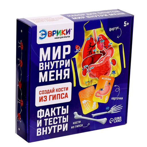 Набор для опытов Мир внутри меня - Эврики фото 9