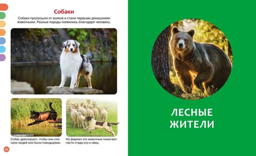 Животные разных стран. Бомон Э. - Издательство махаон фото 4