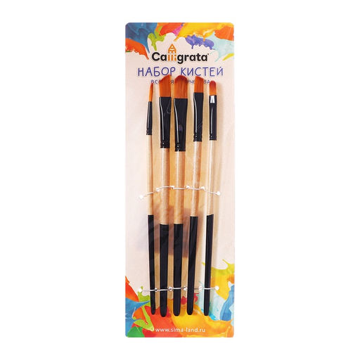 Набор кистей для рисования, нейлон, 5 штук: № 2, 4, 10, 12, 6, круглые, плоские, международный размер