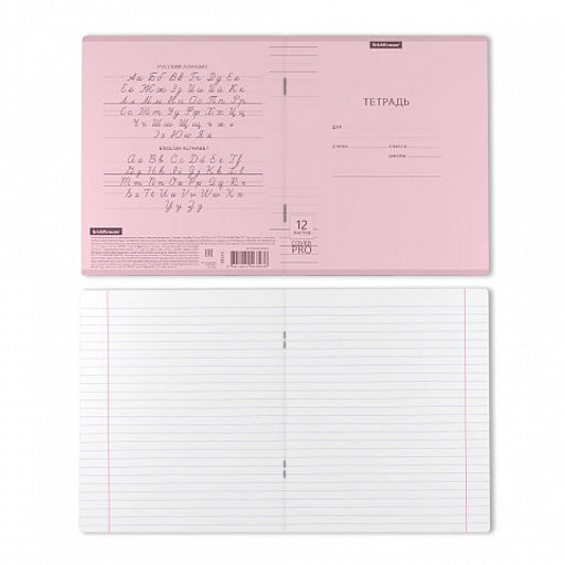 Цена за 10 шт. Тетрадь школьная ученическая с пластиковой обложкой на скобе ErichKrause Классика CoverPrо fizzy, Pastel, розовый, А5+, 12 листов, клетка фото 9