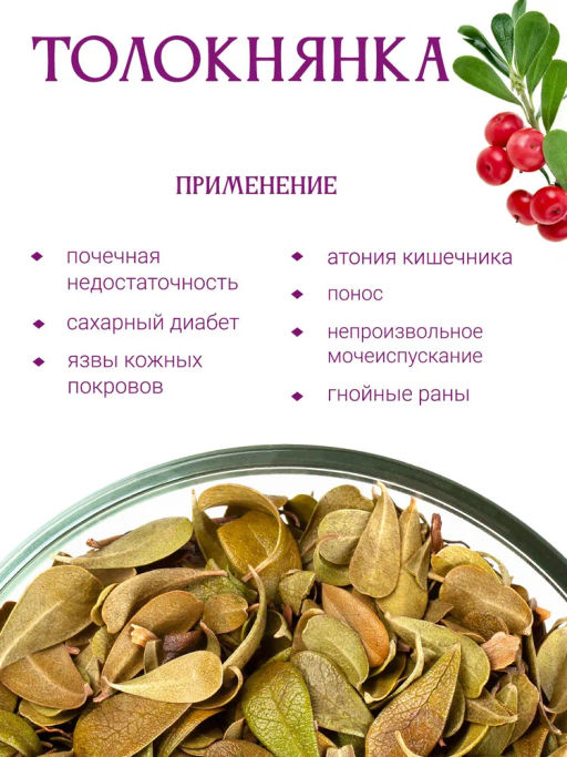 Толокнянка - Травы горного крыма фото 2