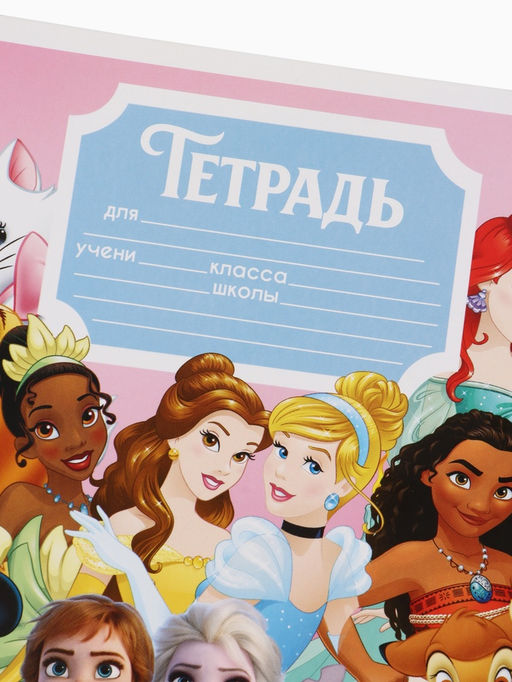 Цена за 20 шт. Тетрадь 12 листов в клетку «Принцессы»