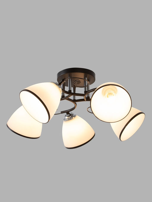 Люстра 20137/5, 5хE27, 60Вт, чёрный/белый