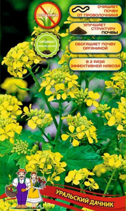 Сидерат ГОРЧИЦА 250 г