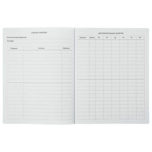 Дневник школьный для 1-11 классов Oxford, твёрдая обложка, искусственная кожа, термотиснение, ляссе, 48 листов