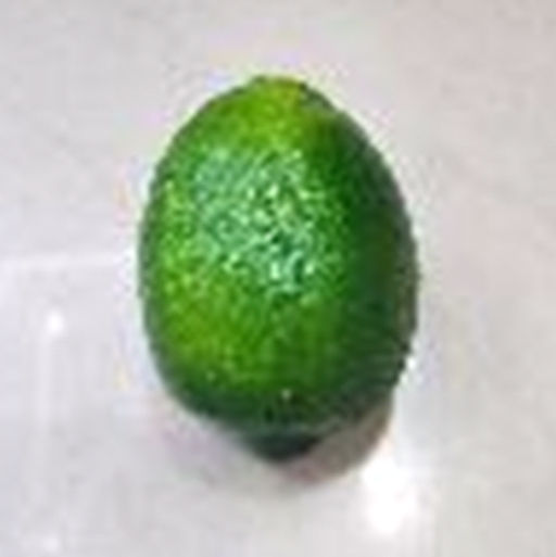 Муляж Лайм 10 см / 33-22 /уп 300/ - Галеонтрейд фото 2