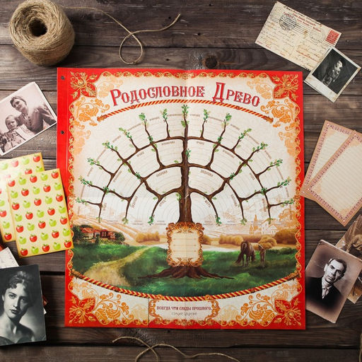 Родословная книга «Семейные традиции», 58 листов, 30 х 30 см