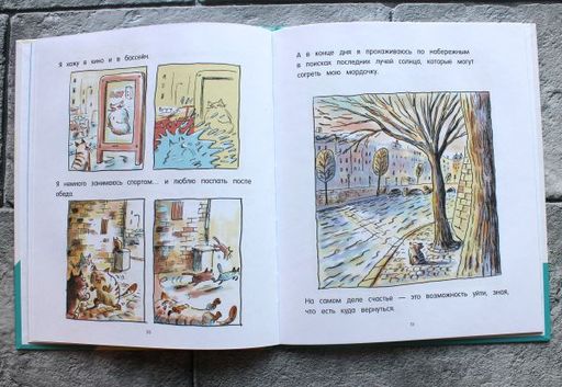 Кот Пончик. Дом кота