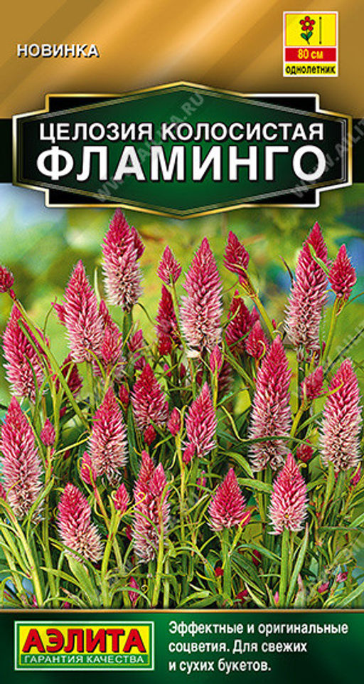 1863A Целозия колосистая Фламинго 0,1гр