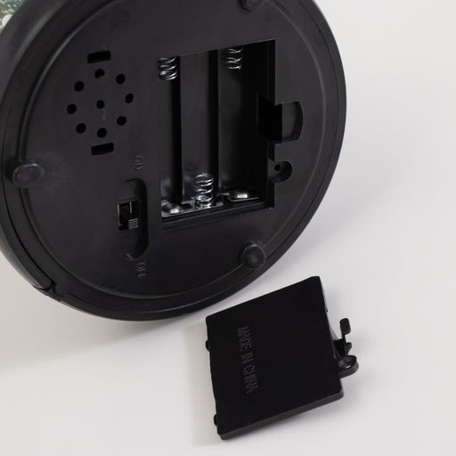 Фигурка светящаяся колба RISALUX «Паук с розой», LED-ночник, 1.5 Вт, 3×AAA, чёрный, USB, 11×11×21 см