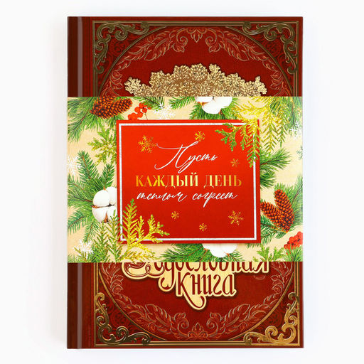 Родословная книга в шкатулке новогодняя «Каждый день», 26×8×27 см