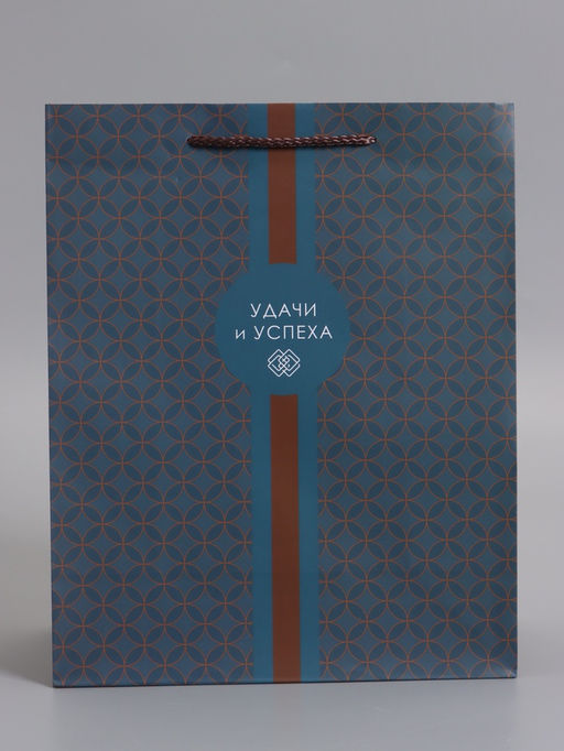 Пакет подарочный ламинированный «Статусный акцент», 26×12×32 см