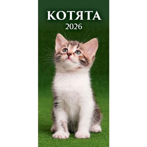 Календарь настен. перекид., с ригелем, 165*320мм, 2026г. "Котята" (0626003)