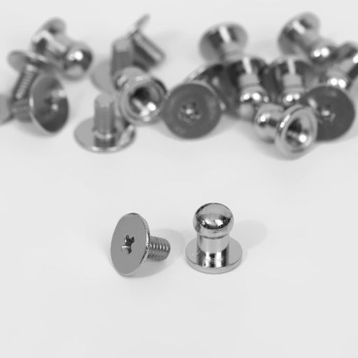 Цена за 2 шт. Кобурный винт d=5/6×8 мм, 10 шт., цвет серебряный