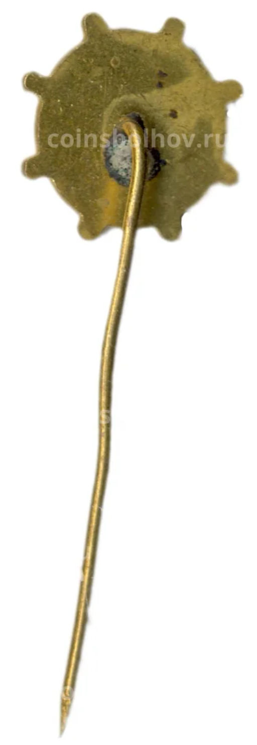 Значок рекламный GANZ