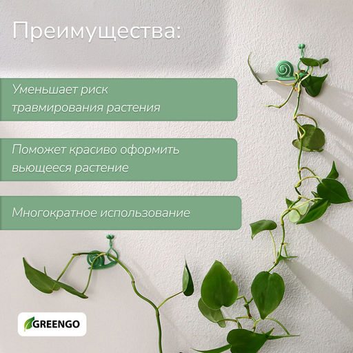 Крепления для вьющихся растений, настенные, самоклеящиеся, Улитка, d=10 мм, набор 10 шт., Greengo фото 2