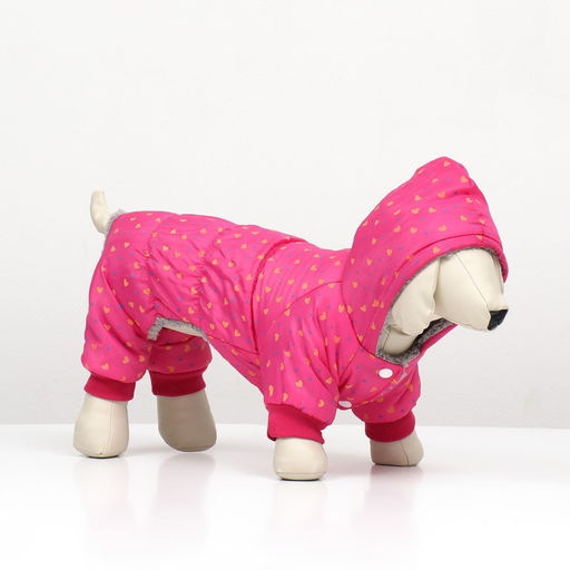 Комбинезон нежный путь на меховом подкладе, размер XL (ДС 40, ОШ 40, ОГ 50 см), розовый - Simaland фото 3