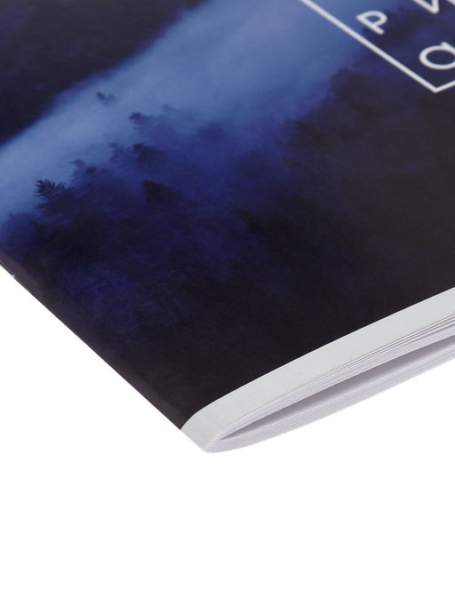 Набор альбомов для рисования Calligrata «Лес», 2 штуки, А4, 40 листов, на скрепке