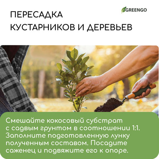 Субстрат кокосовый, универсальный, для террариумов и растений, в брикете, 25 л, 100% торф, Greengo
