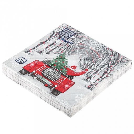 Салфетки бумажные "Bouquet Home Collection Classic" 33х33см, 3-х слойные, 20 штук в упаковке, 100% целлюлоза, "Дед Мороз в пути" (Россия)