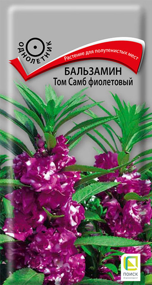 Бальзамин Том Самб фиолетовый ( ЦВ) (1) 0,1гр. - Поиск фото 2