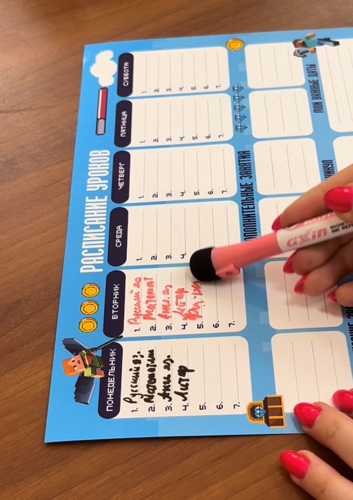 РАСПИСАНИЕ УРОКОВ ЛАМИНИРОВАННОЕ МАЙНКРАФТ 21х30 см (2726) - Мой органайзер фото 6
