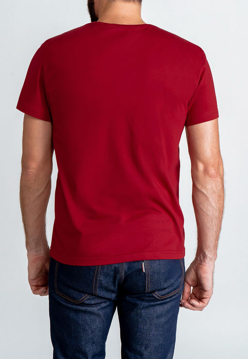 Футболка мужская короткий рукав GREG G145-RD-1056_R (красный)  фото 2