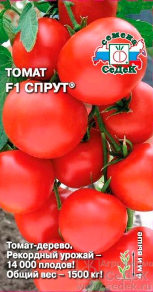 Томат Спрут F1 0,05г (СеДеК)