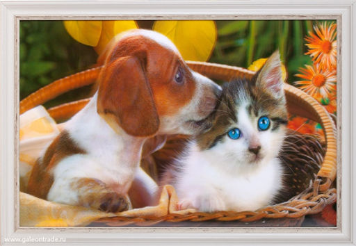 Картина 5D 40х60 222 / ZR8845B-H39H23 / - Галеонтрейд фото 2