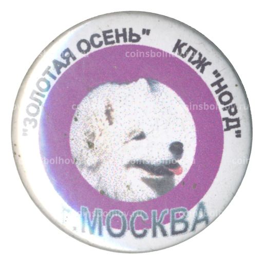 Значок КЛЖ Норд  Золотая осень  Москва